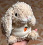 Yummy Bunny Outfits